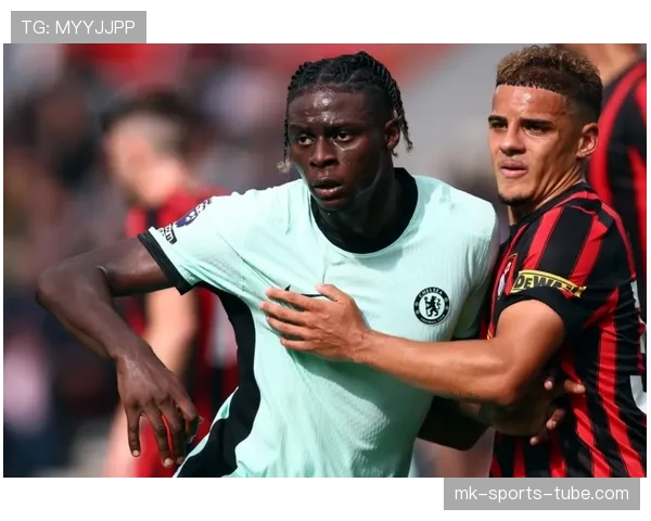 帕利尼亚与罗德里：防守屏障与控场核心的后腰角色差异解析