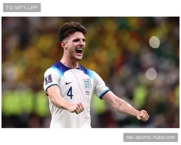 恩佐1亿转会费是否溢价？基于数据表现与赛场价值的深度评估