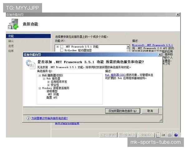 罗德里戈角色适配与体系兼容性分析