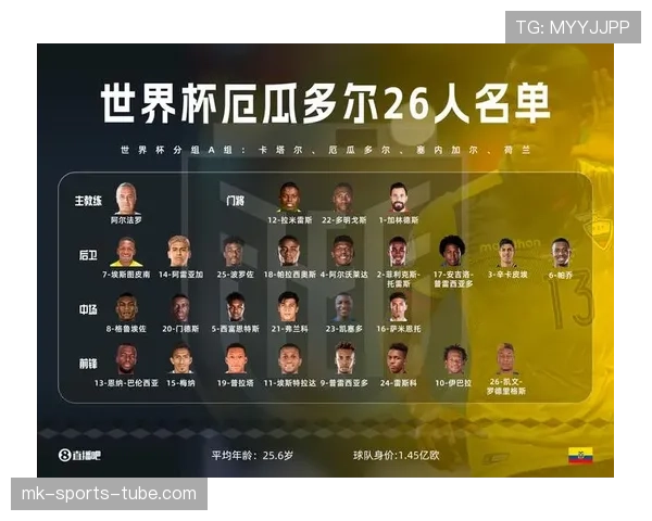 土耳其无缘世界杯32强：D组收官结果确定